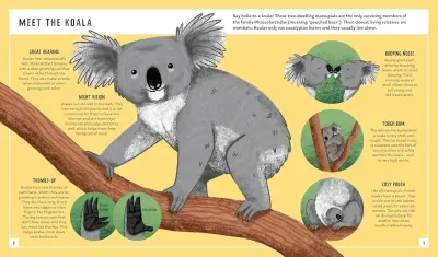 Koala (Young Zoologist) preview