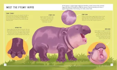 Pygmy Hippo (Young Zoologist) preview