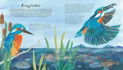 National Trust: Birds of a Feather preview