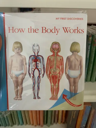 MFD How the Body Works