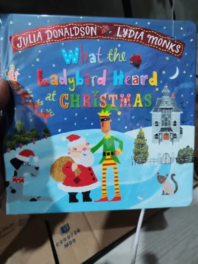 What the Ladybird Heard at Christmas