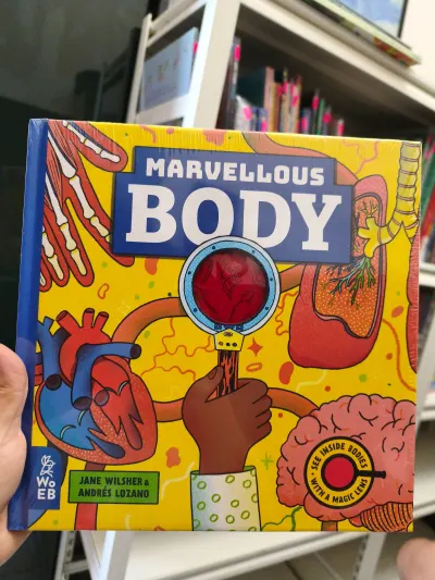 Marvellous Body